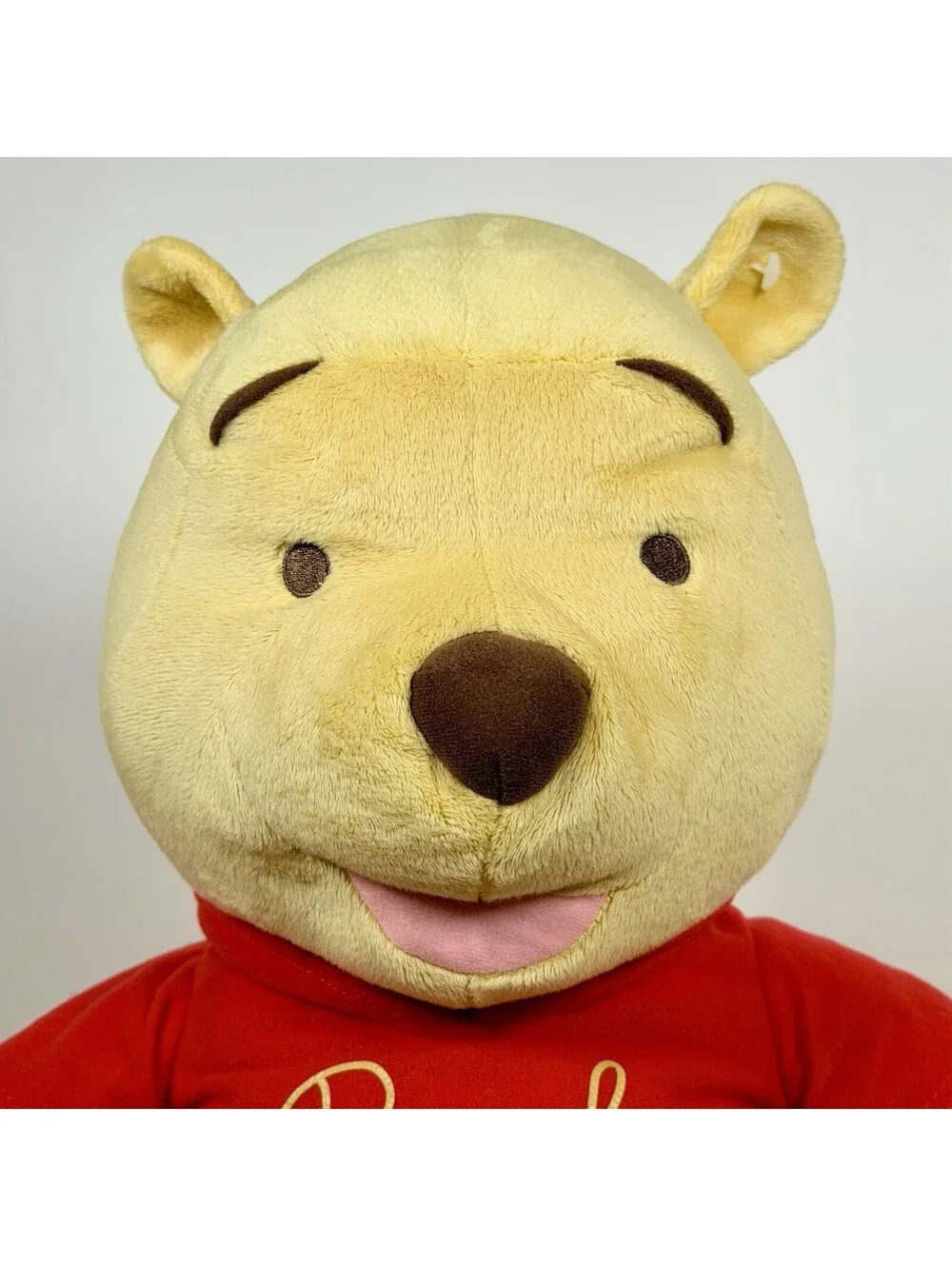 Disney Winnie the Pooh Plush Celebrating 80 Years of Friendship Fisher Price 16